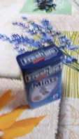 Mints peppermint