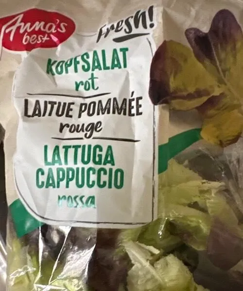 Laitue pommée