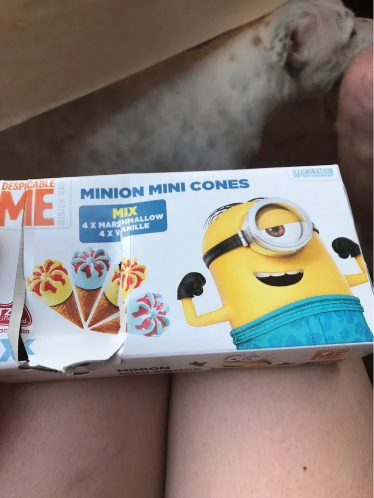 Minuon mini cone