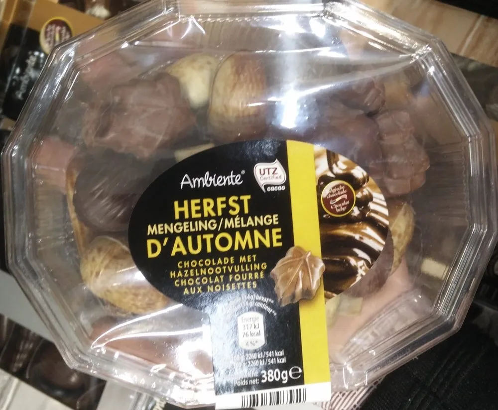 Chocolat fourré aux noisettes