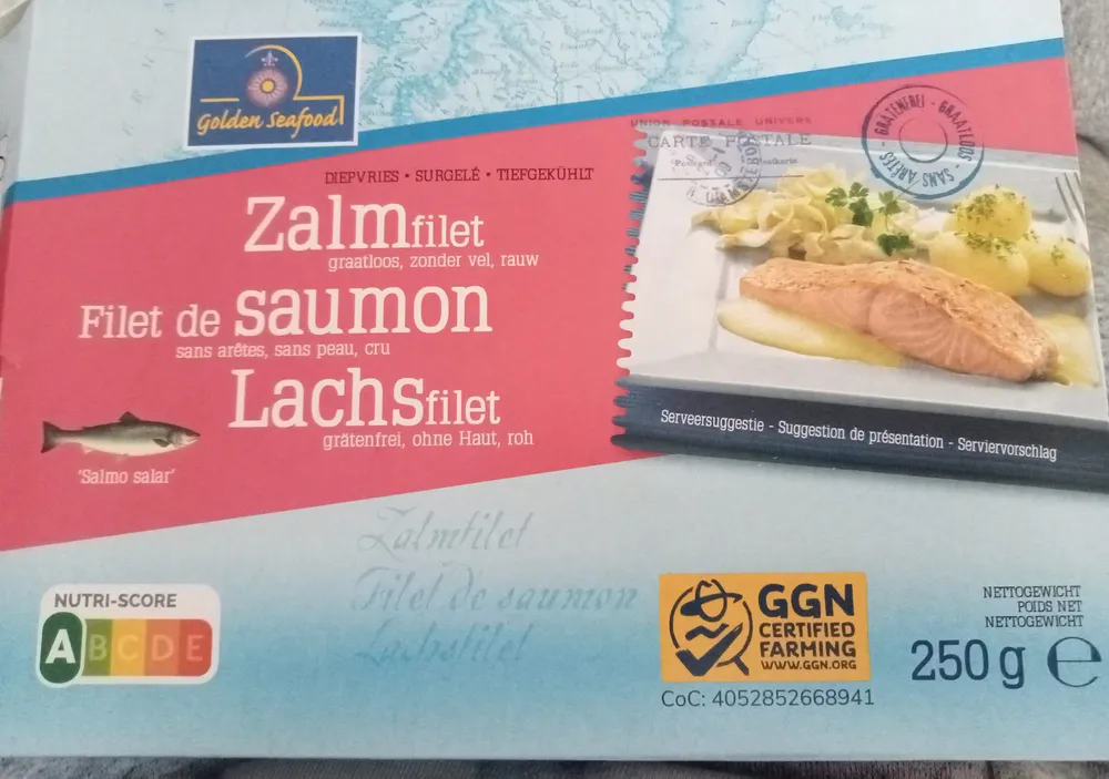 Filet de saumon sans arêtes, sans peau, cru