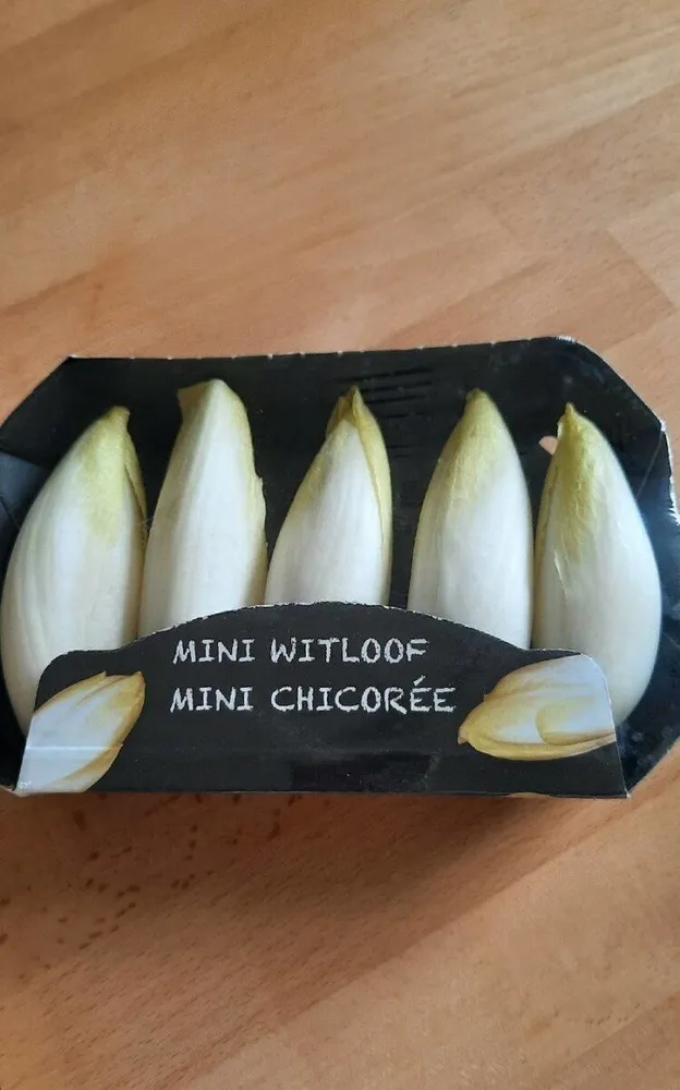 Mini chicorée