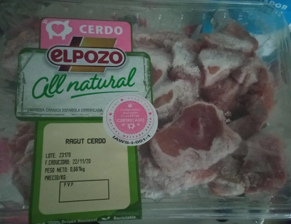 Ragut cerdo