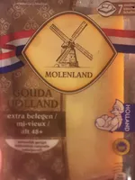 GOUDA HOLLAND extra belegen / mi-vieux / alt 48+