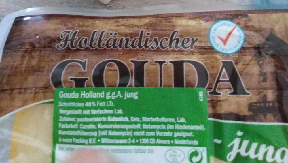 Gouda