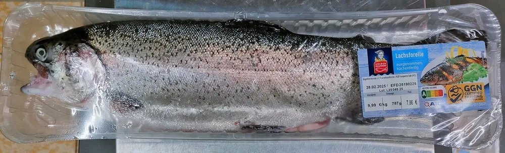 Lachsforelle, ganzer Fisch, ausgenommen