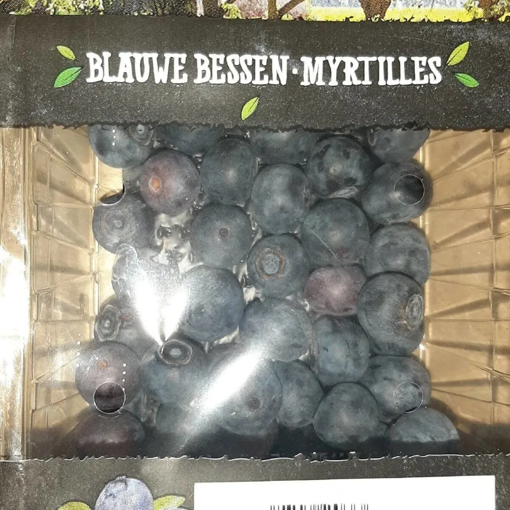 Blauwe Bessen • Myrtilles