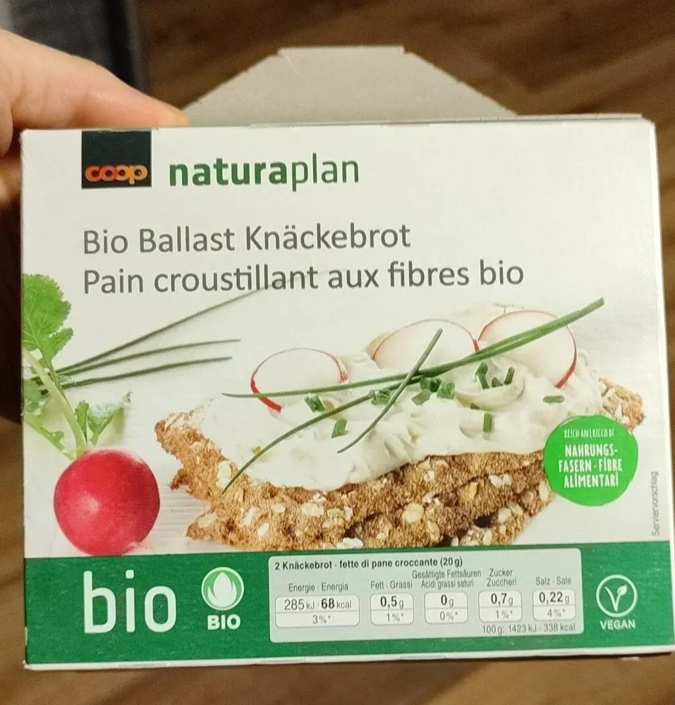 Bio Ballast Knäckebrot