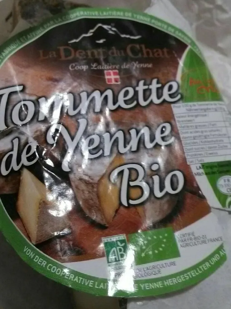 Tome de Yenne Bio