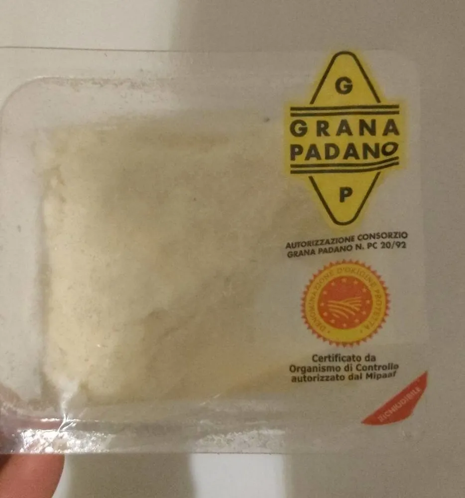 Formaggio Grana Padano DOP grattugiato