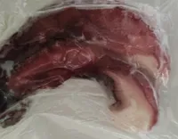 Tentacoli di polpo cotti e congelati