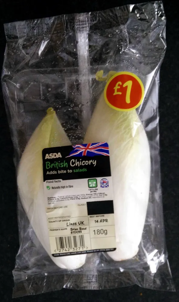 British Chicory