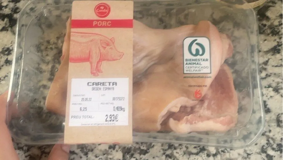 cerdo