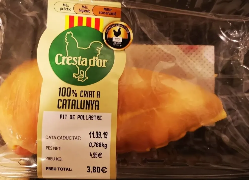 Pit de pollastre