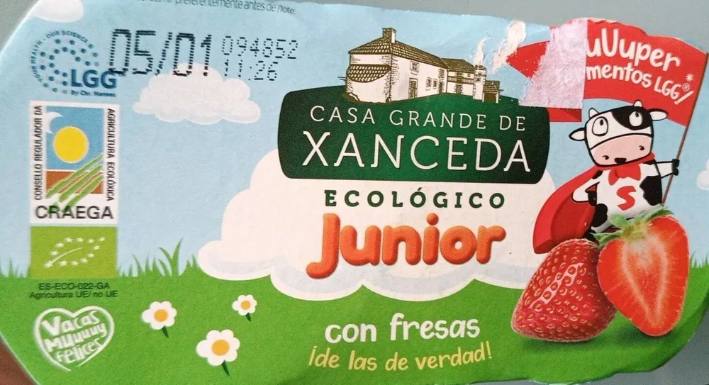 Yogurt ecológico de fresa