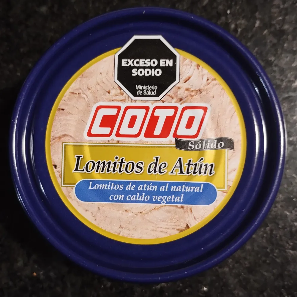 Lomitos de atún al natural con caldo vegetal