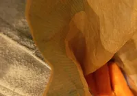 Carrote