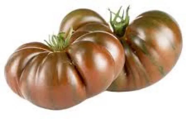 Tomate côtelée noire