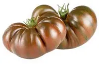 Tomate côtelée noire
