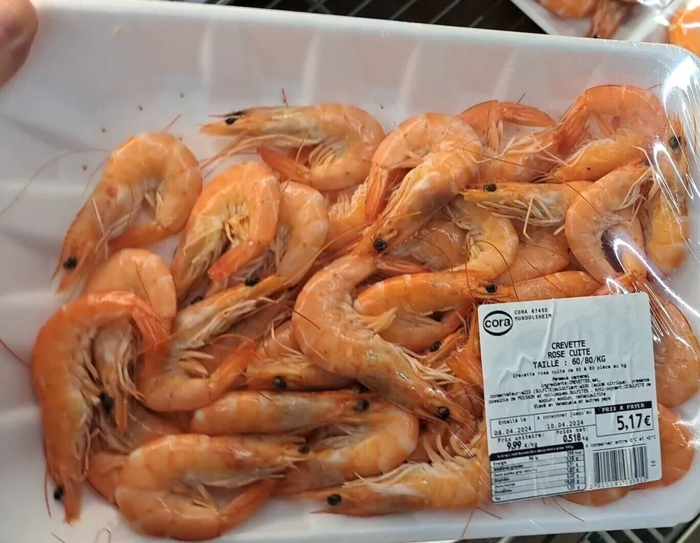 Crevettes 60 80