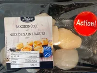 Noix de Saint-Jaques