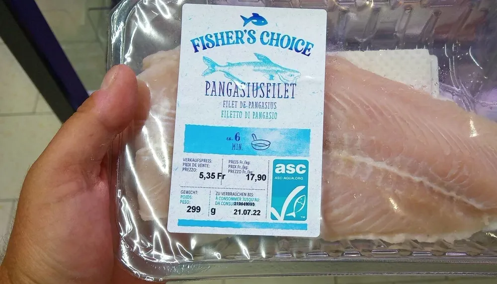 Pangasius