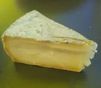 St nectaire AOP fermier lait cru
