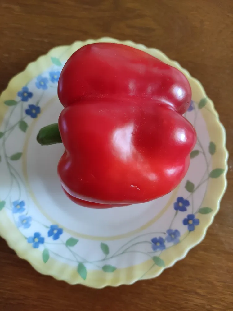 poivron rouge