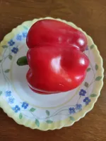 poivron rouge