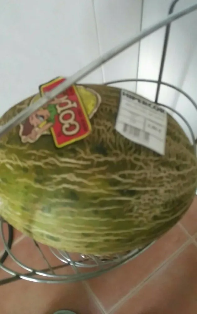 Melón copón
