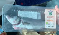 Loup de mer