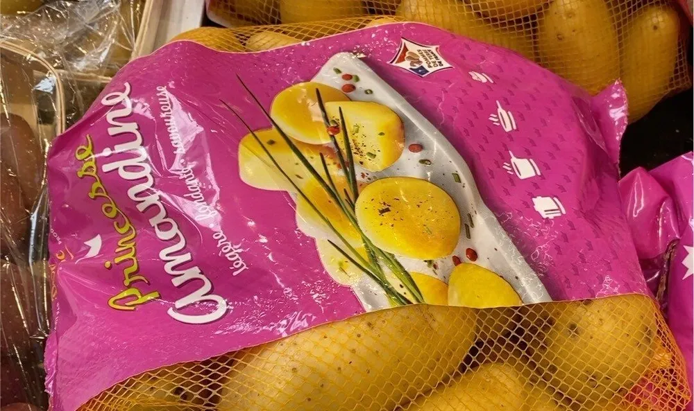 Tomate torino allogée
