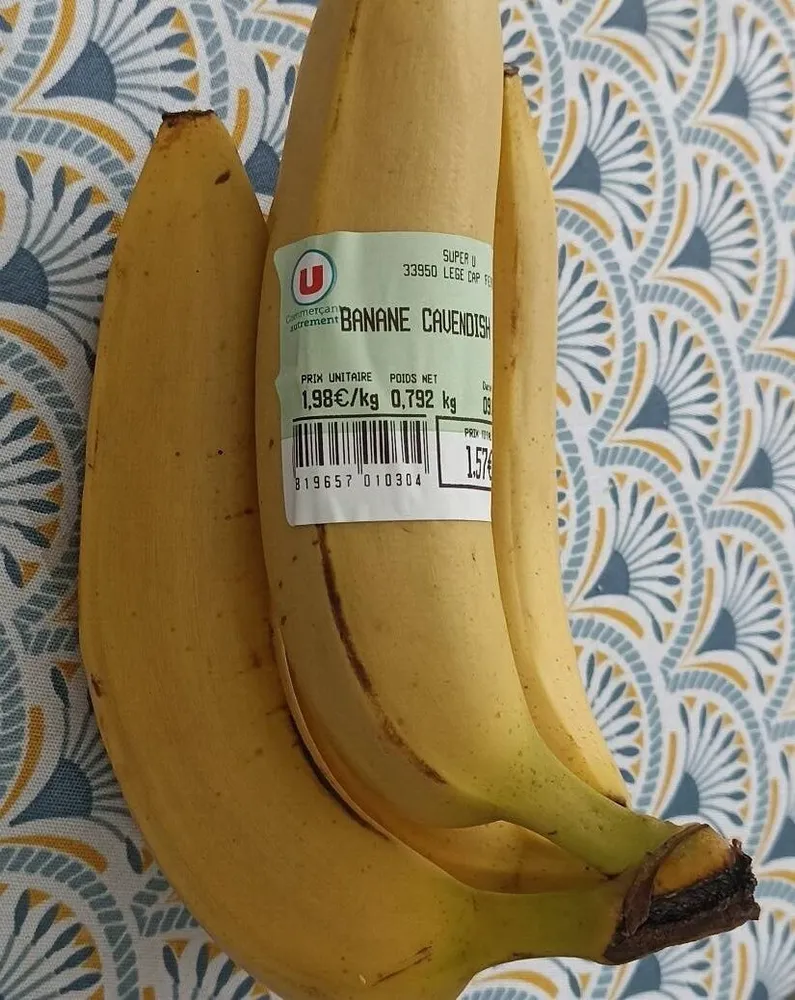 Banane Cavendish