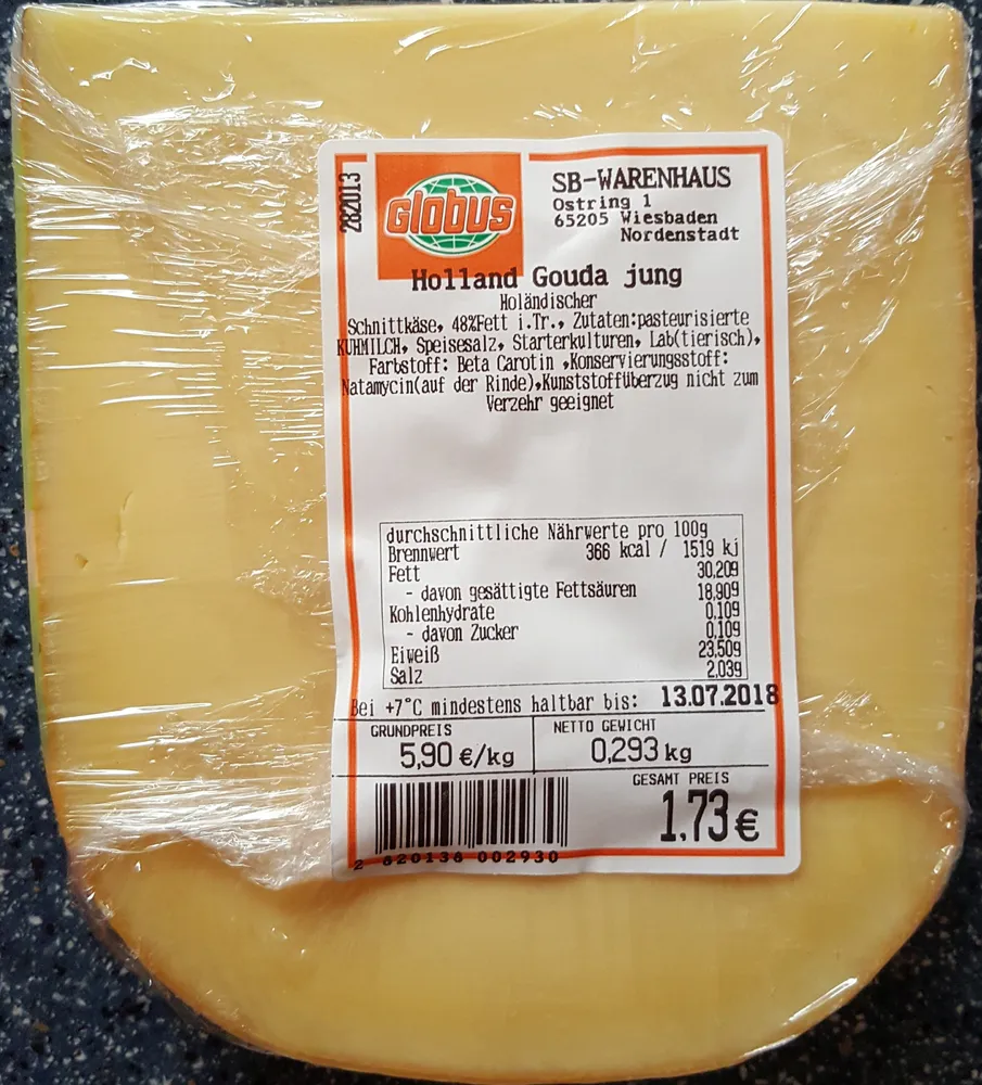 Holland Gouda jung