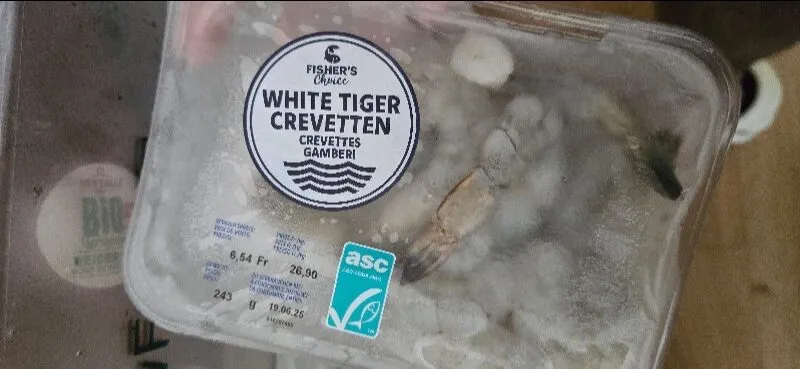 white tiger crevetten