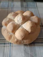 panino tartaruga