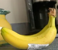 Banane cavendish