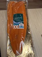 Salmon Coho (Raw)