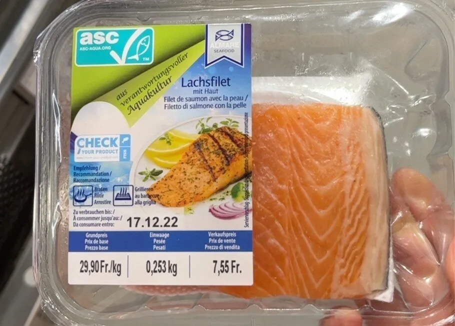 salmon