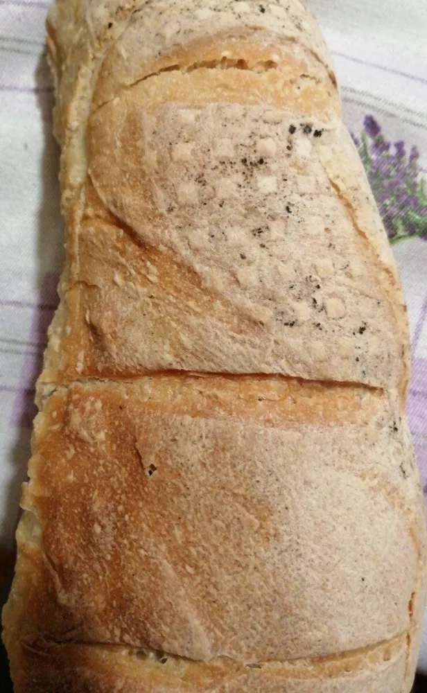 Palatella