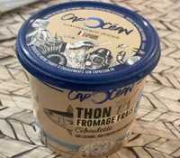 Thon fromage frais
