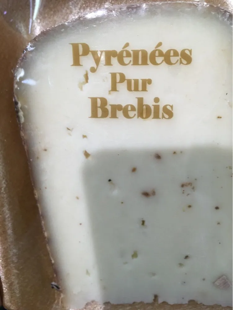 Pyrenées pur brebis