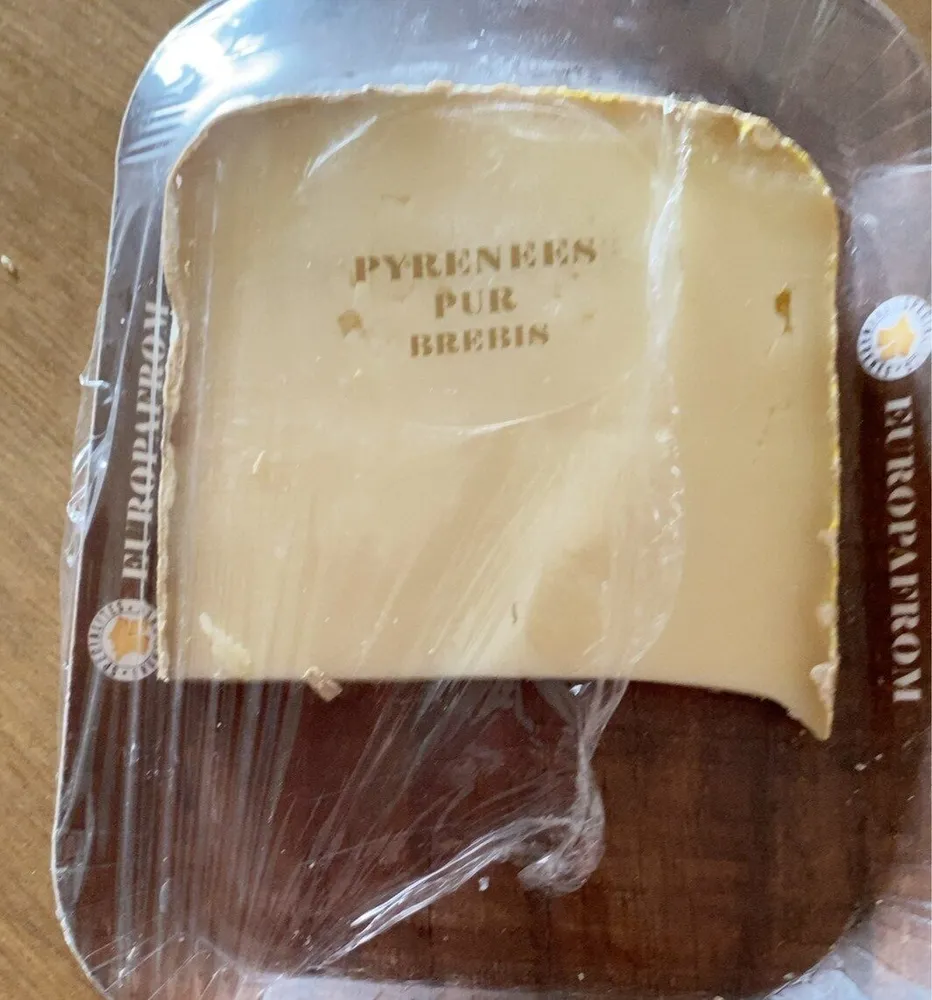 Pyrénées pure brebis