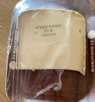 Pyrénées pure brebis