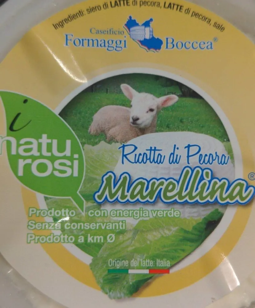 Ricotta di pecora marellina