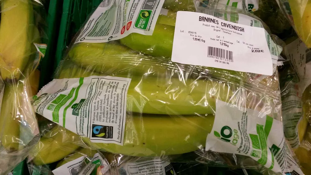 Bananes cavendish