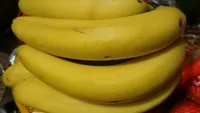 Bananes cavendish