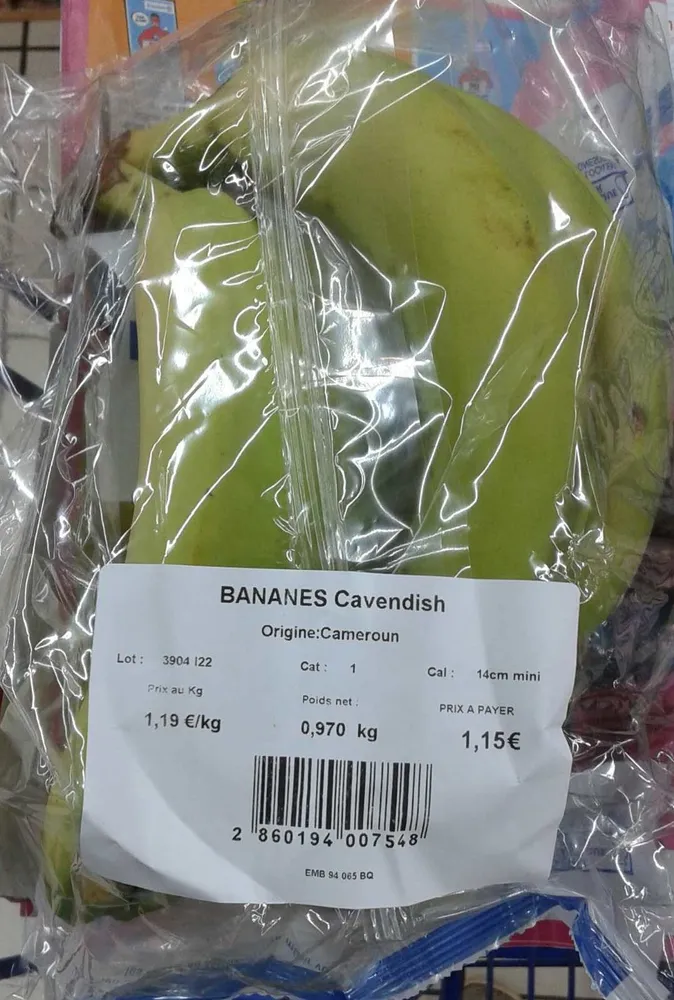 Bananes Cavendish