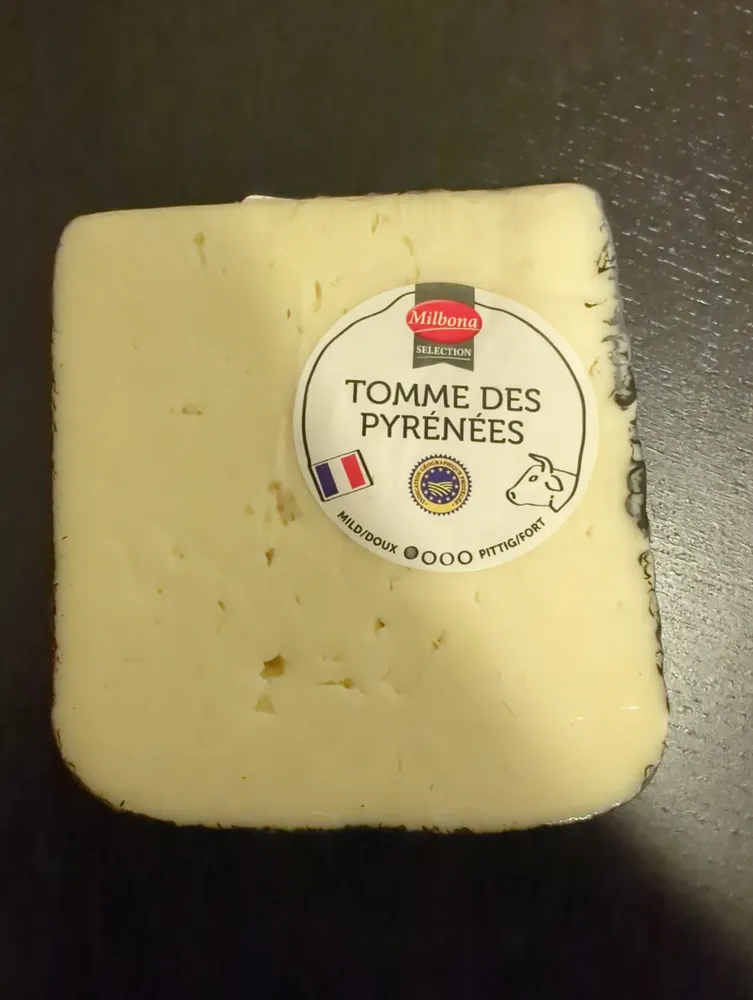 TOMME DES PYRÉNÉES
