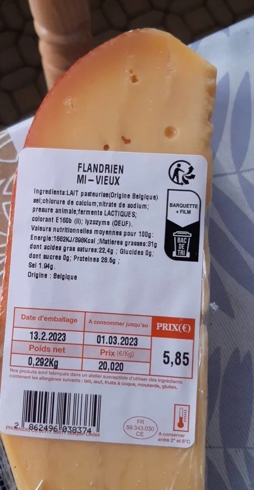 Flandrien